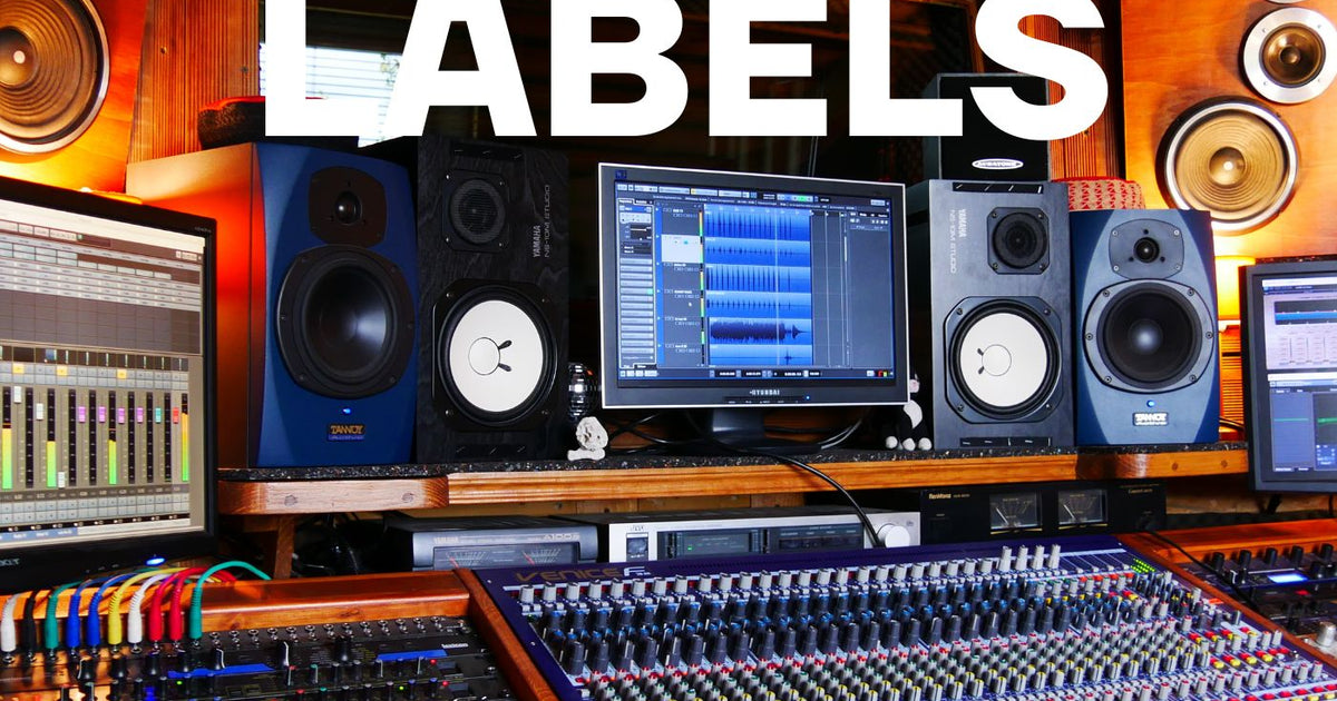 The truth about Labels and tracks submissions | Prime Vocals Blog